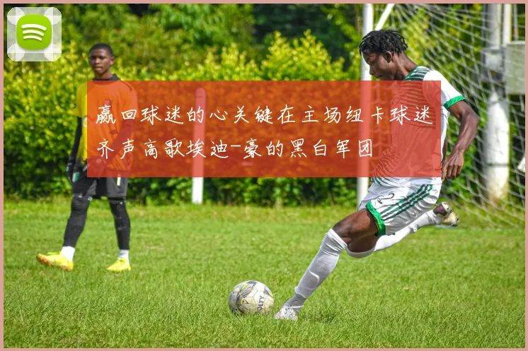 赢回球迷的心关键在主场纽卡球迷齐声高歌埃迪-豪的黑白军团